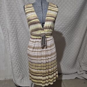 Liz Lange Maternity Striped Midi Dress